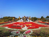 코리아플라워파크 관광 정보와 주변 관광 명소 및 근처 맛집 여행 정보