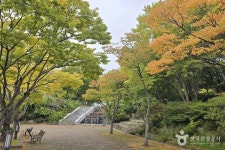 [대구올레 팔공산 7코스] 폭포골 가는 길 레저스포츠 정보와 주변 관광 명소 및 근처 맛집 여행 정보