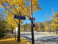 [경기옛길 삼남길 제1길] 한양관문길 레저스포츠 정보와 주변 관광 명소 및 근처 맛집 여행 정보