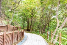 아산 영인산자연휴양림 관광 정보와 주변 관광 명소 및 근처 맛집 여행 정보