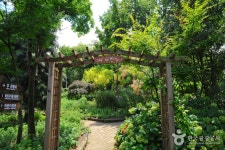 Hantaek Botanical Garden (한택식물원) - Sightseeing - Korea travel and tourism information