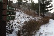 박달산(괴산) 관광 정보와 주변 관광 명소 및 근처 맛집 여행 정보