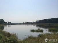 통합검색결과 | 대한민국 구석구석