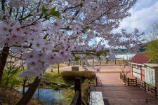 나주집 - 주변 여행 및 근처 관광 명소 - 국내 여행 정보와 관광 명소 정보