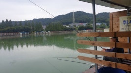 법인사현포도터널관광농원 | 오하포도농원 - 주변 여행 및 근처 관광 명소 - 국내 여행 정보와 관광 명소 정보