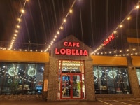 카페 로벨리아 음식점 정보와 주변 관광 명소 및 근처 맛집 여행 정보