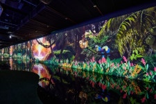 베니키아 스위스로젠 호텔