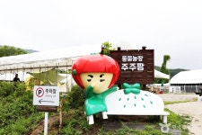 바우갈비 - 주변 여행 및 근처 관광 명소 - 국내 여행 정보와 관광 명소 정보