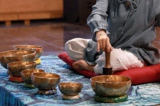済州チョルムル自然休養林（제주절물자연휴양림） - 観光 - 韓国旅行・観光情報