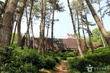 익산산림조합산림문화체험관 관광 정보와 주변 관광 명소 및 근처 맛집 여행 정보