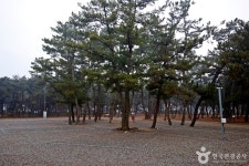 몽산포힐링캠핑장 레저스포츠 정보와 주변 관광 명소 및 근처 맛집 여행 정보