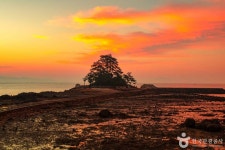 소등섬 관광 정보와 주변 관광 명소 및 근처 맛집 여행 정보