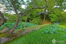 임대정원림 관광 정보와 주변 관광 명소 및 근처 맛집 여행 정보