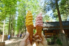 소나타까페 음식점 정보와 주변 관광 명소 및 근처 맛집 여행 정보