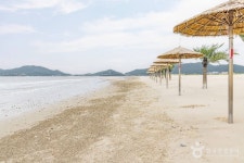 증도(신안) 관광 정보와 주변 관광 명소 및 근처 맛집 여행 정보