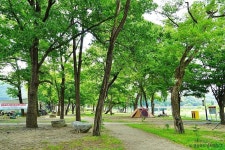 트리독스 반려견 전용 캠핑장 - 주변 여행 및 근처 관광 명소 - 국내 여행 정보와 관광 명소 정보