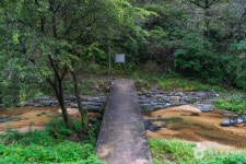 [대구올레 팔공산 4코스] 평광동 왕건길 레저스포츠 정보와 주변 관광 명소 및 근처 맛집 여행 정보