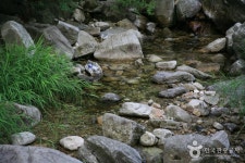 国望峰自然休養林（抱川）（국망봉자연휴양림（포천）） - 観光 - 韓国旅行・観光情報