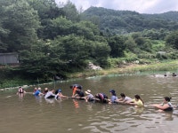 번암 물빛 축제 2020 - 뽐뿌:축제정보 번암 물빛 축제 2020