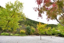 미미향 - 주변 여행 및 근처 관광 명소 - 국내 여행 정보와 관광 명소 정보