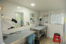 경포도도애견펜션 숙박 정보와 주변 관광 명소 및 근처 맛집 여행 정보