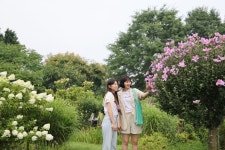 만리포몰디브 - 주변 여행 및 근처 관광 명소 - 국내 여행 정보와 관광 명소 정보