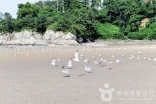 가마미해수욕장 관광 정보와 주변 관광 명소 및 근처 맛집 여행 정보