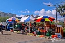 유성장(4, 9일) - 주변 여행 및 근처 관광 명소 - 국내 여행 정보와 관광 명소 정보