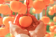 연산황산벌오토캠핑장 - 주변 여행 및 근처 관광 명소 - 국내 여행 정보와 관광 명소 정보