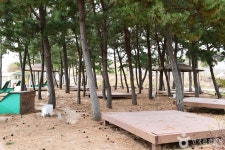 안악해수욕장 관광 정보와 주변 관광 명소 및 근처 맛집 여행 정보