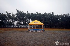 몽산포힐링캠핑장 레저스포츠 정보와 주변 관광 명소 및 근처 맛집 여행 정보