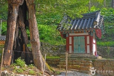 죽림암(임실) 관광 정보와 주변 관광 명소 및 근처 맛집 여행 정보