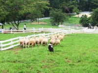 한려해상국립공원(하동) - 주변 여행 및 근처 관광 명소 - 국내 여행 정보와 관광 명소 정보