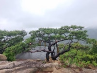 [서울둘레길 5코스] 아차산코스 레저스포츠 정보와 주변 관광 명소 및 근처 맛집 여행 정보