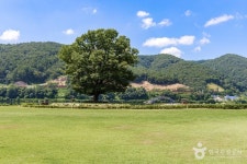 화천 커플샷 성지 - 주변 여행 및 근처 관광 명소 - 국내 여행 정보와 관광 명소 정보