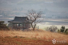 완도 청해진 유적 관광 정보와 주변 관광 명소 및 근처 맛집 여행 정보