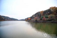 소백산꽃차이야기 - 주변 여행 및 근처 관광 명소 - 국내 여행 정보와 관광 명소 정보