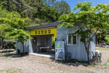 괴산 율지리 미선나무 자생지 - 주변 여행 및 근처 관광 명소 - 국내 여행 정보와 관광 명소 정보