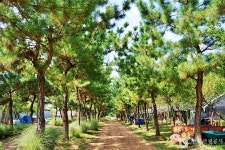 덕바위농촌체험휴양마을 관광 정보와 주변 관광 명소 및 근처 맛집 여행 정보