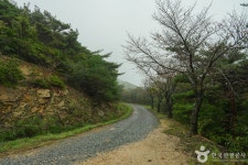 삼길 나루길 관광 정보와 주변 관광 명소 및 근처 맛집 여행 정보