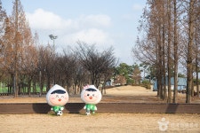 걸포중앙공원 관광 정보와 주변 관광 명소 및 근처 맛집 여행 정보