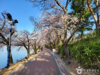Bomunho Lake (보문호) - Sightseeing - Korea travel and tourism information