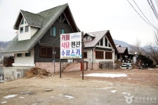 Naver search result photo 1
