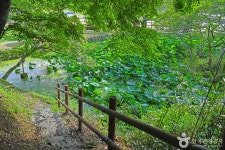 임대정원림 관광 정보와 주변 관광 명소 및 근처 맛집 여행 정보