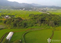 내송마을 관광 정보와 주변 관광 명소 및 근처 맛집 여행 정보