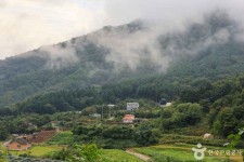 양평 쌍겨리마을 관광 정보와 주변 관광 명소 및 근처 맛집 여행 정보