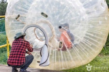 제주빅볼랜드 레저스포츠 정보와 주변 관광 명소 및 근처 맛집 여행 정보