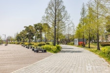 올리브영 부산괴정역 - 주변 여행 및 근처 관광 명소 - 국내 여행 정보와 관광 명소 정보