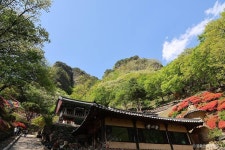 청량사(봉화) 관광 정보와 주변 관광 명소 및 근처 맛집 여행 정보