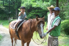 Hanteo Pony Farm (한터 조랑말농장) - Sightseeing - Korea travel and tourism information